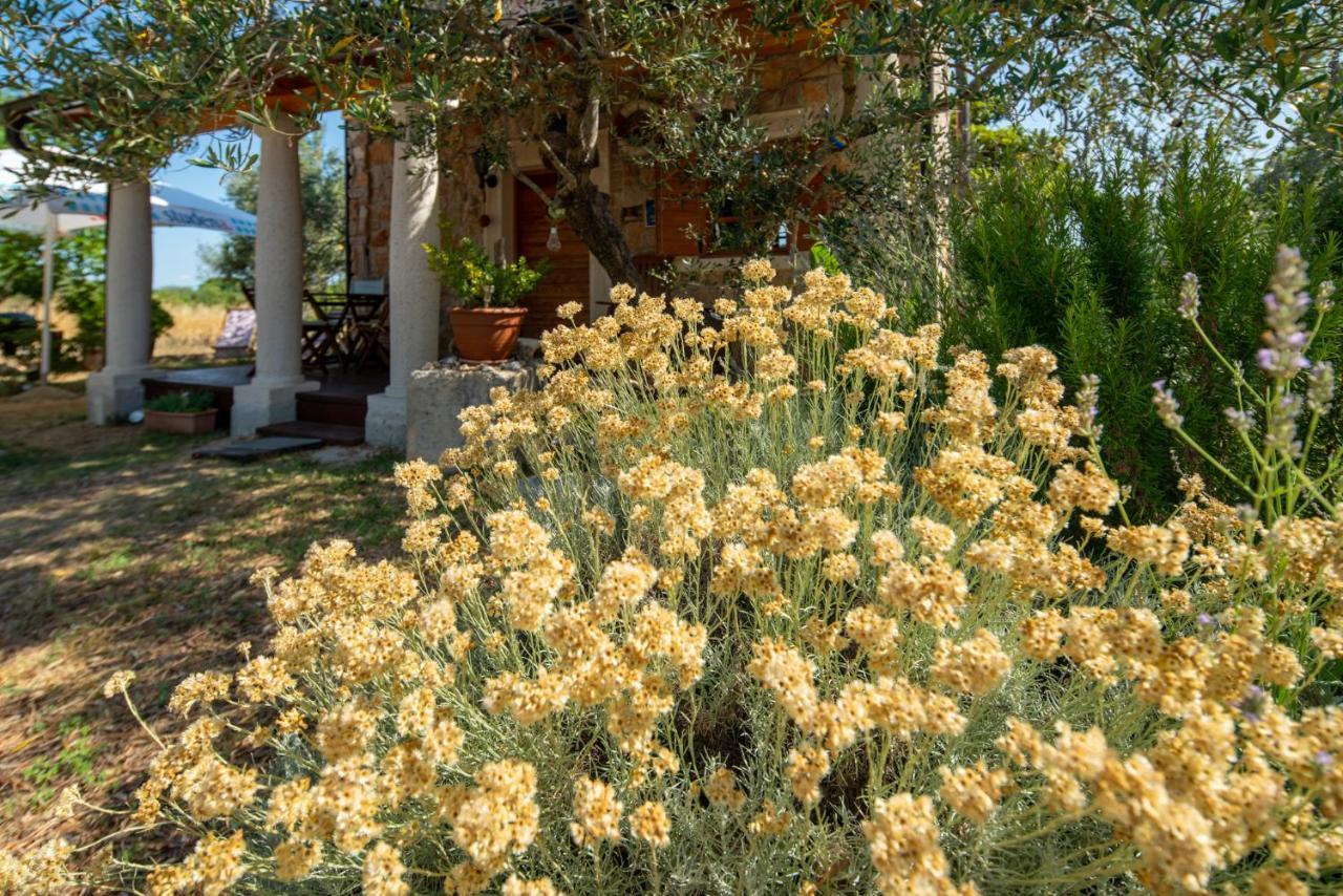 Pašman Villa Flaveico מראה חיצוני תמונה